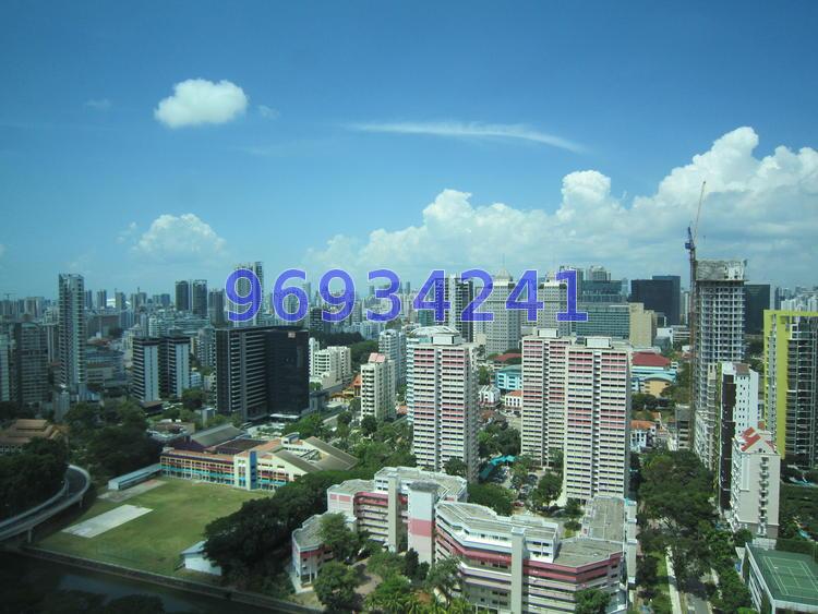 Trellis Towers (D12), Condominium #73247672